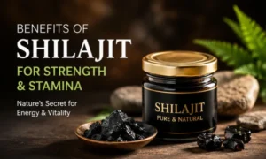 Shilajeet – Nature’s Secret for Strength, Stamina & Vitality