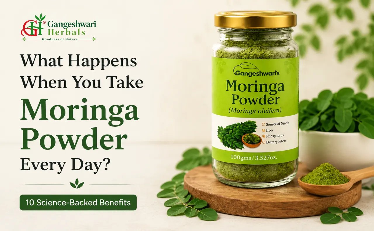 Moringa Powder daily health benefits for immunity, energy, and overall wellness
